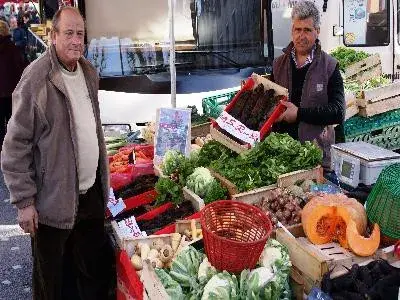 M. Crudeli - Betterave longue de Gardanne