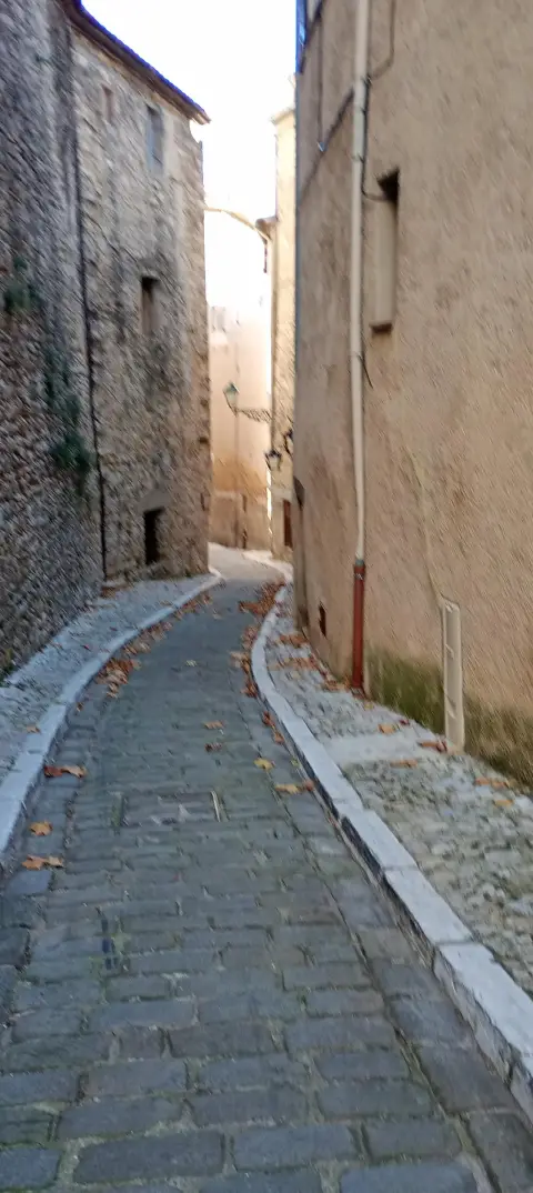 Porte Sarrazine