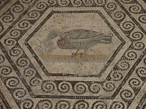 Musée Archéologique Théo Desplans