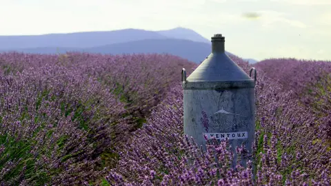 Parfums Provence Ventoux