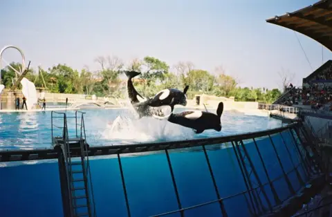 Antibes Marineland