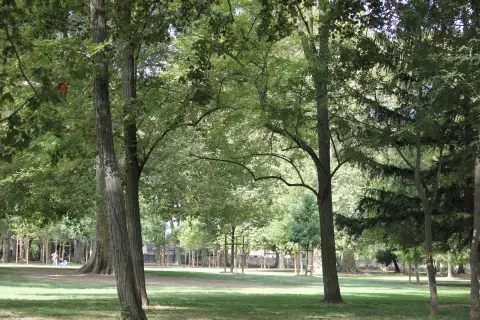 Parc du château