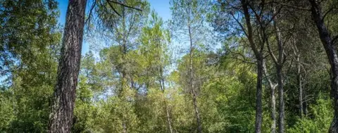 Parc Naturel Départemental du Sinodon