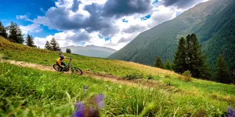 Bike Park Abries - Queyras