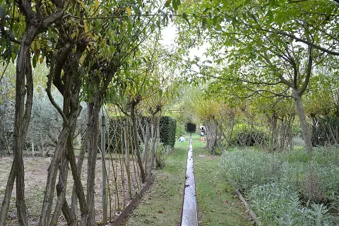 Chemin de Berechit