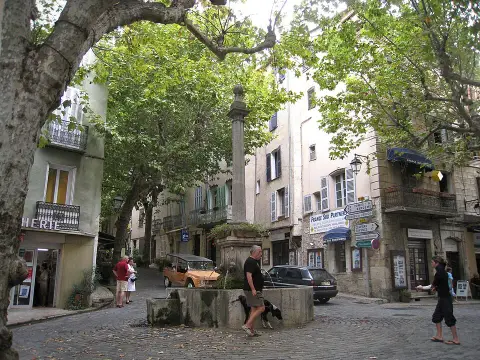 Musée Camos
