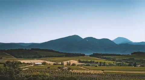 Clos Bellane