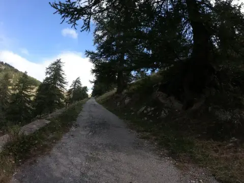 Parpella