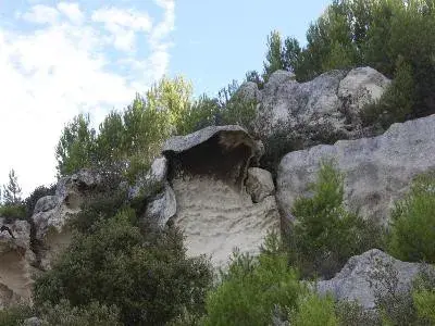 Forêt domaniale de Castillon