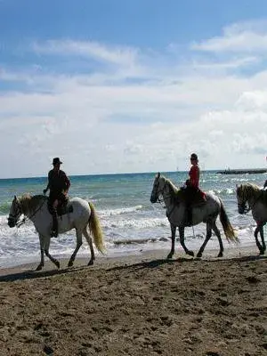 Plage Crin Blanc