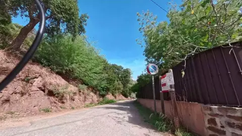 Le dattier