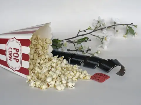 Cinéma le Renoir