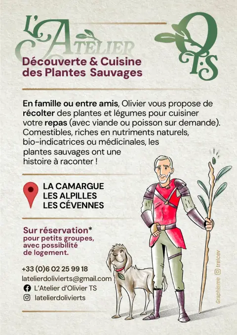 l'Atelier d'Olivier TS - Découverte plantes sauvages