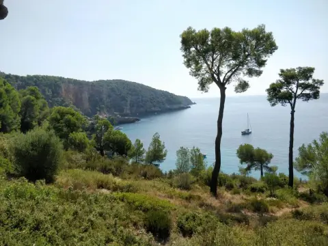 La Calanque De Port D‘Alon