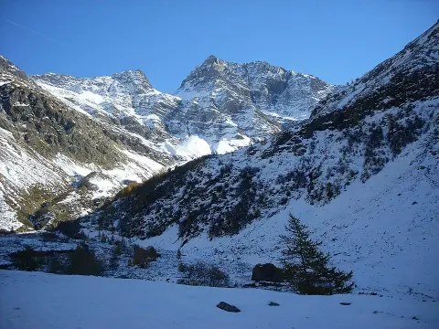 Pointes de Rougnoux
