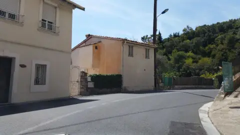 Monti