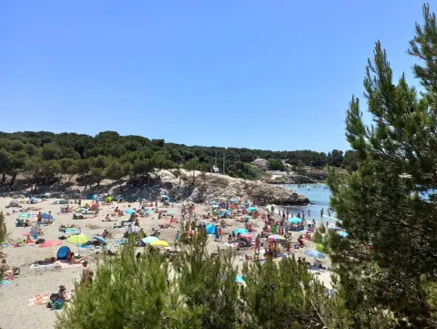 Plage de la Saulce