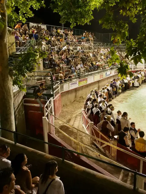 Les Arènes de Fontvieille