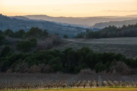 Domaine ALLOÏS