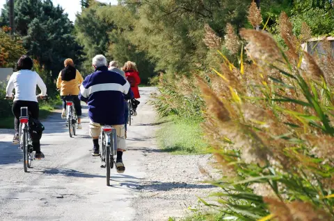 ARLES - Le chemin des taureaux à vélo