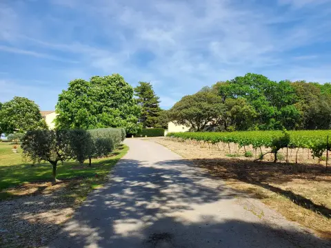 Domaine l'Oppidum des Cauvins