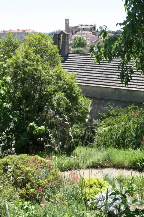 Jardin méditerranéen