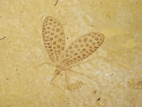 Réserve naturelle géologique du Luberon