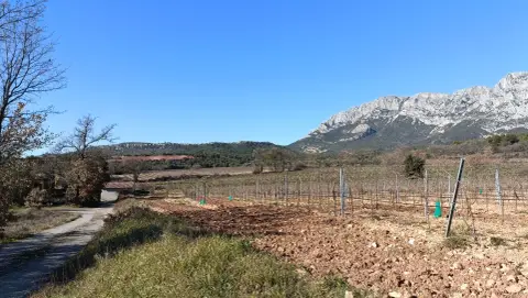 Le sentier des vignerons de Puyloubier