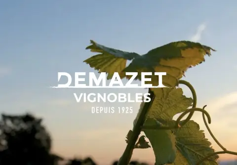 Demazet Vignobles La Cave