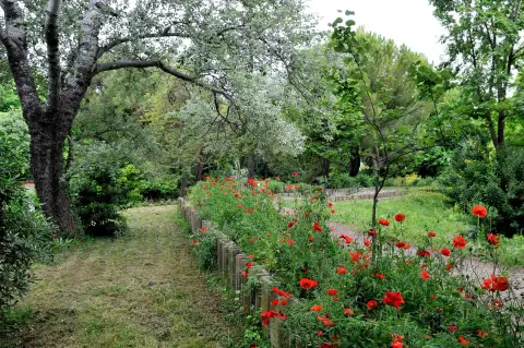 Parc central de Bonneveine