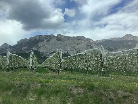 Montagne de Saint-Genis