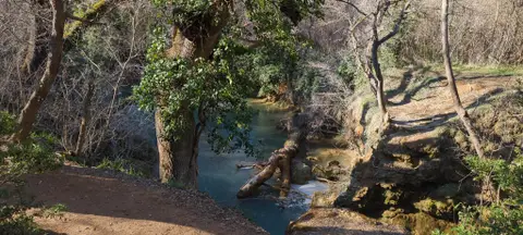 Chute de Montaud