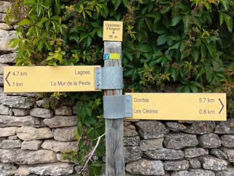 Le Mur de la Peste