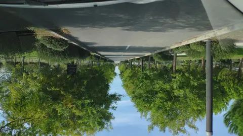 Plage ombragée