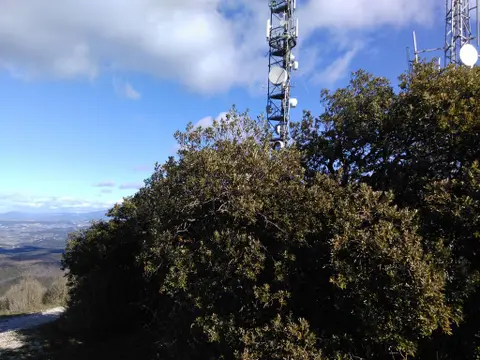 Crête De Saint Amand