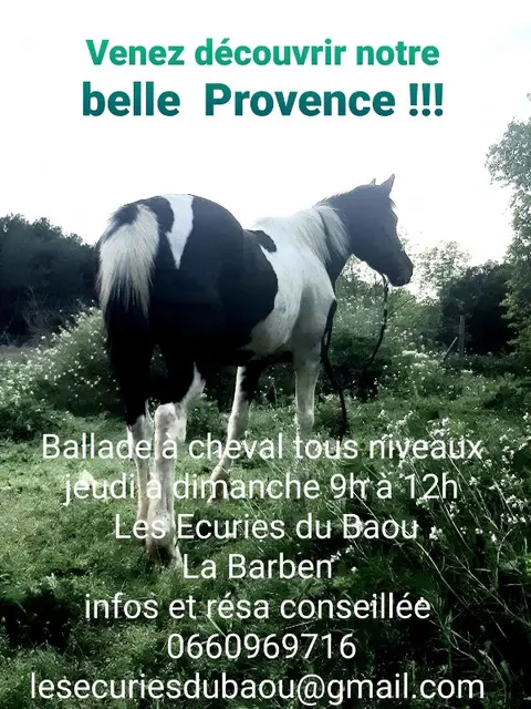Les écuries du Baou