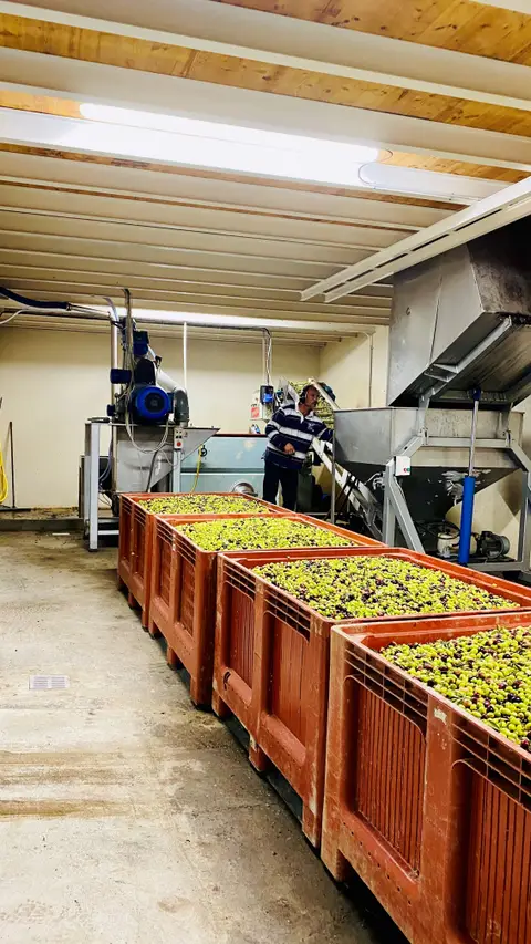 Le moulin à olives d’Éguilles