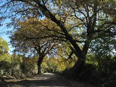 Trevaresse - St Cannat, Fontaine de Doudonne