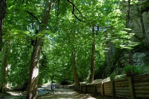 GÉMENOS - Le sentier de la glacière