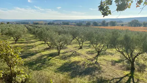 Domaine de Camaïssette