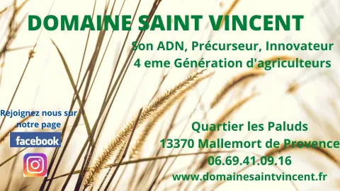 Domaine saint Vincent