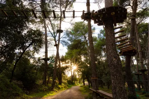 Le Royaume des Arbres - Parcours aventure