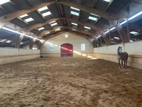 Conservatoire Français du Cheval Lipizzan