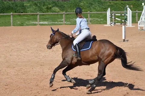 La Cabane aux Poneys