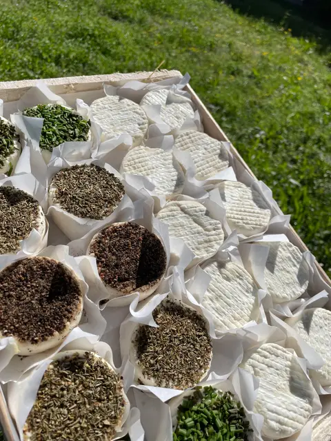 Pressoirs de Provence