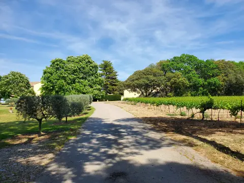 Domaine l'Oppidum des Cauvins