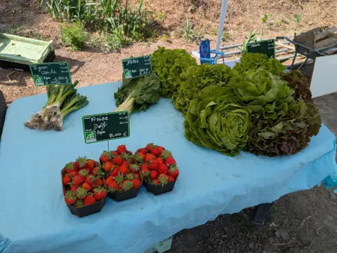 Le Potager Nature