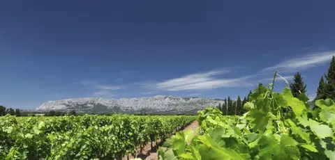 Domaine la Grande Bauquière