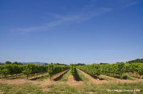 Domaine des Diables