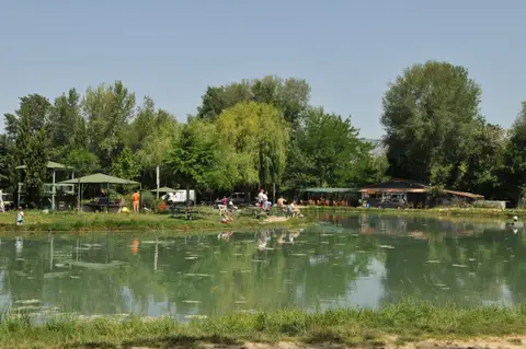 Etang de pêche à la truite